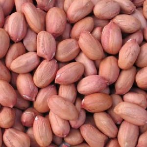 Groundnuts